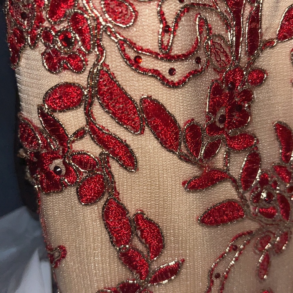 Prom dress from camillelavie only used once!! - Picture 2 of 2